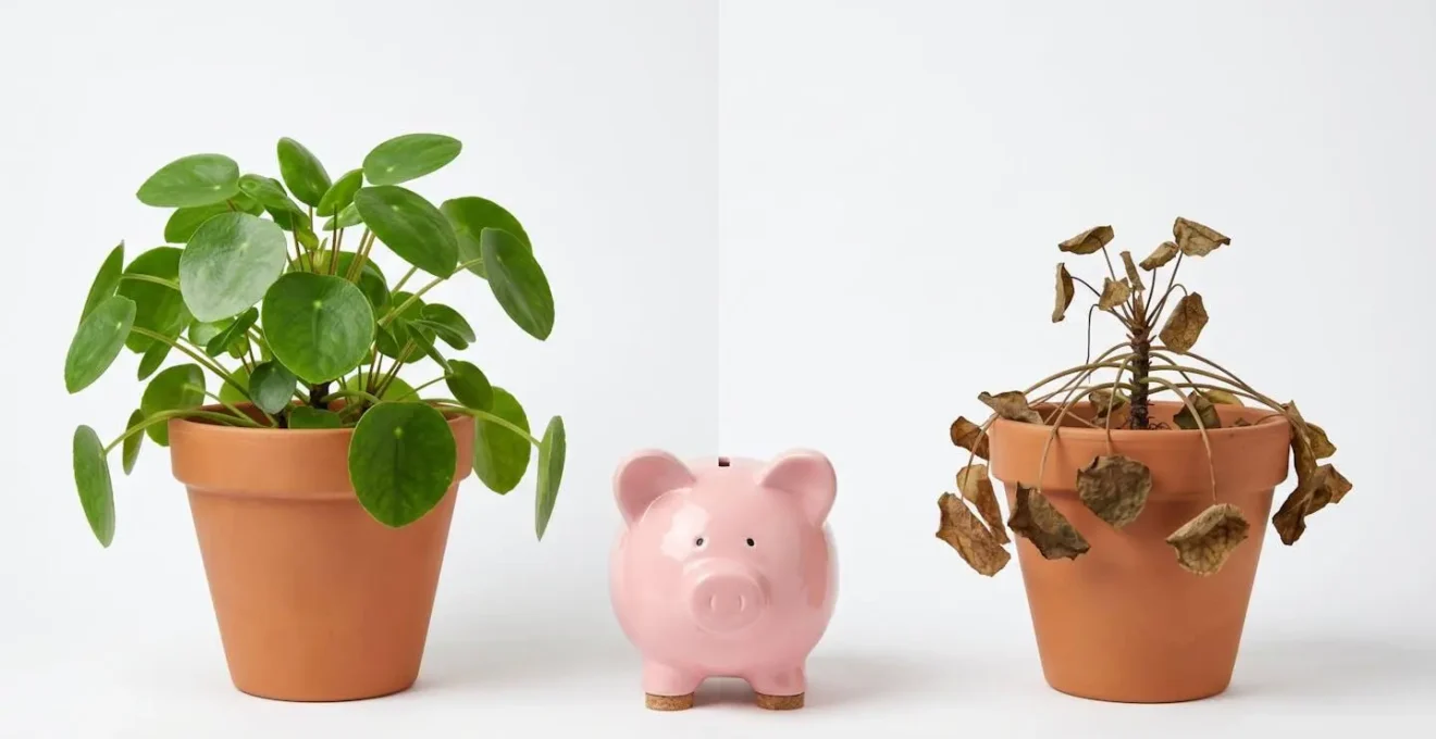 Représentation symbolique avec tirelire et plantes vertes évoquant les économies et la santé retrouvée